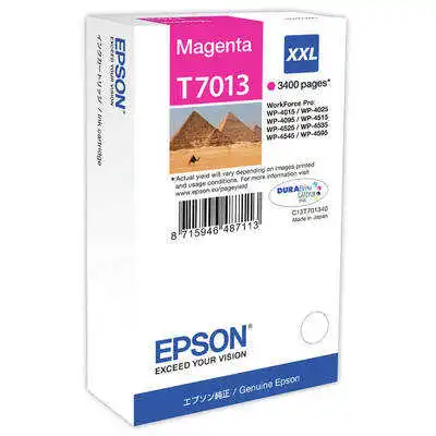 Epson T7013XXL-C13T70134010 Kırmızı Orjinal Kartuş
