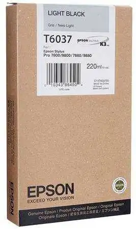 Epson T6037-C13T603700 Açık Siyah Orjinal Kartuş